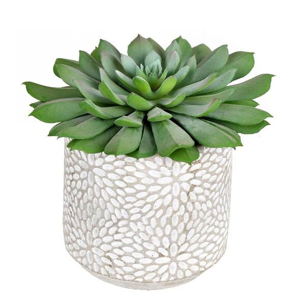 6" Artificial Green Potted Succulent (2 pack)