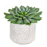 Vickerman 6" Artificial Green Potted Succulent (2 pack)
