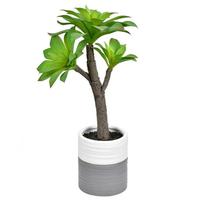 Vickerman 15" Artificial Green Potted Succulent