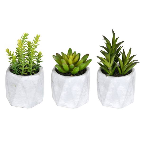 6" Artificial Green Potted Succulent Assortment (Set of 3)