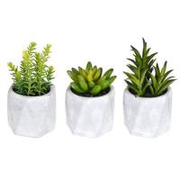 Vickerman 6" Artificial Green Potted Succulent Assortment (Set of 3)