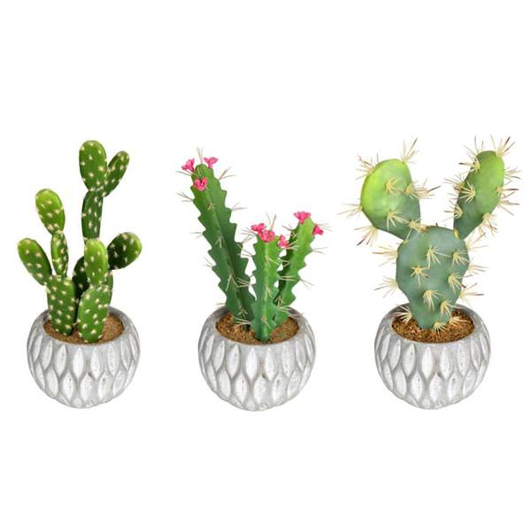 10" Artificial Green Potted Cactus Assortment (Set of 3)