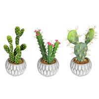 Vickerman 10" Artificial Green Potted Cactus Assortment (Set of 3)