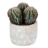 Vickerman 9" Artificial Green Potted Cactus