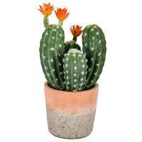 Vickerman 14" Artificial Green Potted Cactus