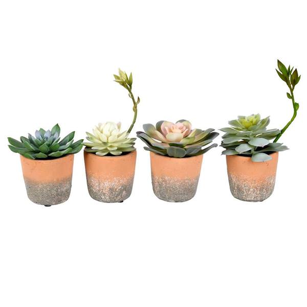 7" Artificial Green Potted Succulent Assortment (Set of 4)