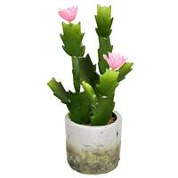 Vickerman 11" Artificial Green Potted Cactus