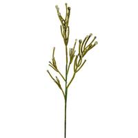 Vickerman 18" Artificial Green Cactus Spray (5 pack)