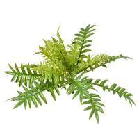 Vickerman 26" Artificial Green Fern Bush