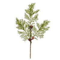 Vickerman 30" Artificial Cedar Pinecone Spray (3 pack)
