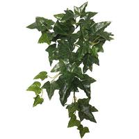 Vickerman 18" Artificial Green English Ivy Hanging Bush (3 pack)