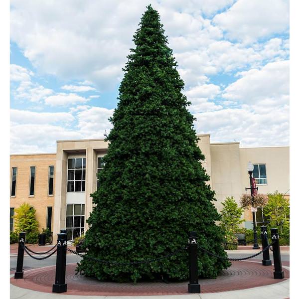 16' x 123" Artificial Grand Teton Frame Tree