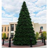 Vickerman 16' x 123" Artificial Grand Teton Frame Tree
