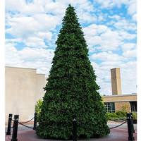 Vickerman 22' x 156" Artificial Grand Teton Frame Tree 10350 Warm White Lights