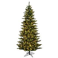 Vickerman 10' x 59" Artificial Natural Fraser Fir 1000 Warm White Lights