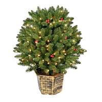 Vickerman 2.5' x 28" Artificial Potted Tifton Globe 100 Clear Lights