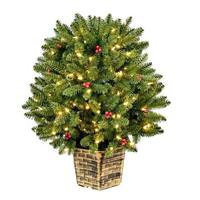 Vickerman 2.5' x 28" Artificial Potted Tifton Globe 100 Warm White Lights