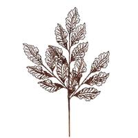 View 21" Chocolate Glitter Coleus Leaf Lace Spray (12 pack)