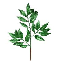 Vickerman 21" Green Glitter Bay Leaf Spray (12 pack)