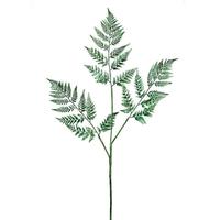 Vickerman 42" Green Shiny Fern Spray Christmas Decoration (2 Pack)