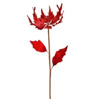 View 32" Red Glitter Poinsettia Spray Christmas Decoration (2 Pack)