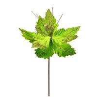 View 12" Lime Poinsettia Spray (6 pack)