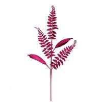Vickerman 33" Berry Red Fern Leaf Spray (6 pack)