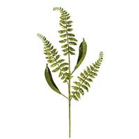 Vickerman 33" Lime Fern Leaf Spray (6 pack)