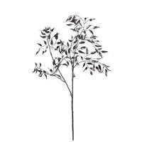 Vickerman 29" Artificial Silver Bamboo Leaf Spray Christmas Decoration (4 Pack)