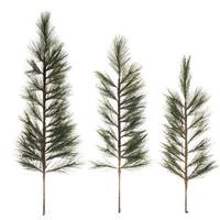 Vickerman 36" / 42" / 48" Artificial White Pine Tops (Set of 3)