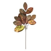 Vickerman 36" Mocha Magnolia Leaf Spray Christmas Decoration (2 Pack)