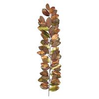 Vickerman 6' Artificial Mocha Magnolia Leaf Garland