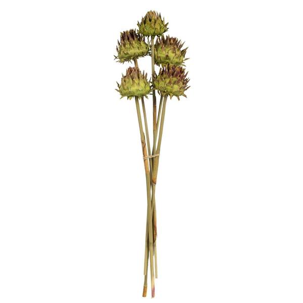 15"-17" Basil Dried Artichoke (9 stems in a bundle)