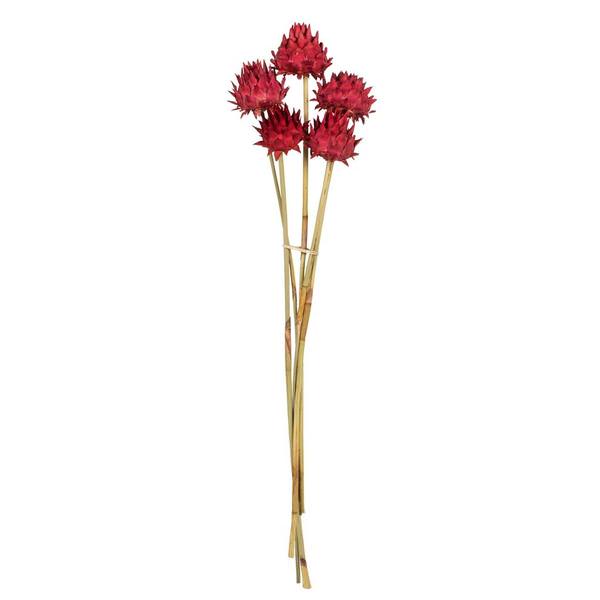 15"-17" Red Dried Artichoke (9 stems in a bundle)