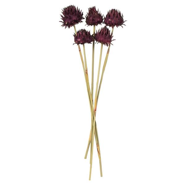 15"-17" Violet Dried Artichoke (9 stems in a bundle)