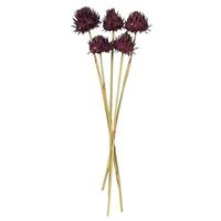 View 15"-17" Violet Dried Artichoke (9 stems in a bundle)