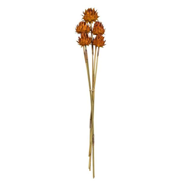 15"-17" Aspen Gold Dried Artichoke (9 stems in a bundle)