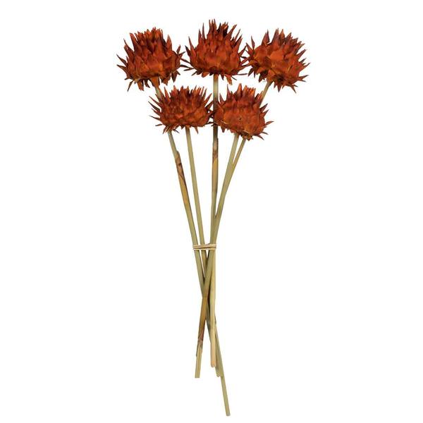 15"-17" Autumn Artichoke on Stem (5 Pack)