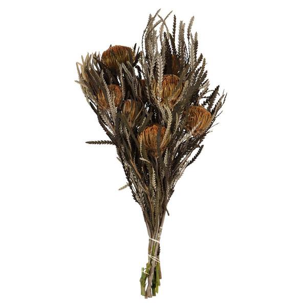 12"-18" 4oz Autumn Preserved Banksia Flower