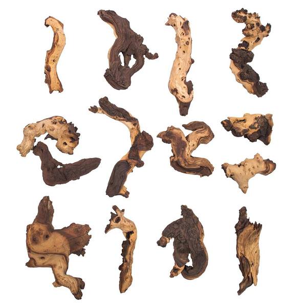 6"-12" Natural Petrified Driftwood (14 pieces)