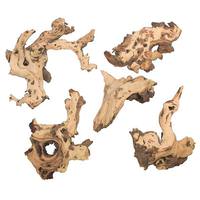 Vickerman 4-7lbs Natural Petrified Driftwood