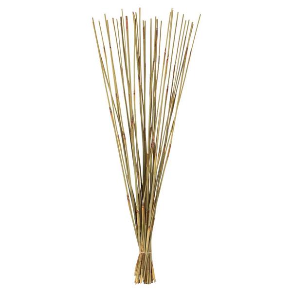 40"-42" 10oz Natural Preserved Elephant Reed Bundle