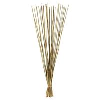 View 40"-42" 10oz Natural Preserved Elephant Reed Bundle