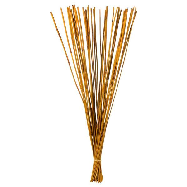 40"-42" 10oz Aspen Gold Preserved Elephant Reed Bundle