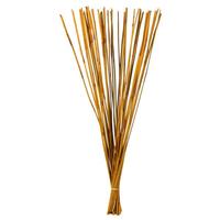 View 40"-42" 10oz Aspen Gold Preserved Elephant Reed Bundle