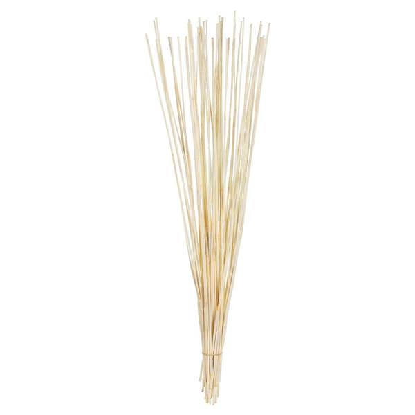 40"-42" 10oz Bleached Preserved Elephant Reed Bundle