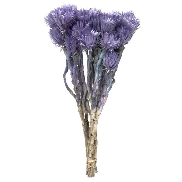 13"-14" 23 Blooms Light Purple Preserved Flowers