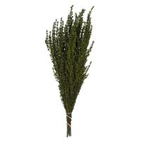 Vickerman 22"-26" 5-6oz Preserved Basil Grabia