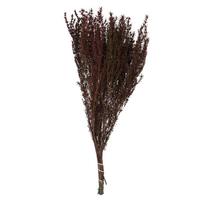 Vickerman 22"-26" 5-6oz Preserved Merlot Grabia