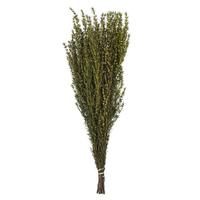 Vickerman 22"-26" 5-6oz Preserved Yellow Grabia